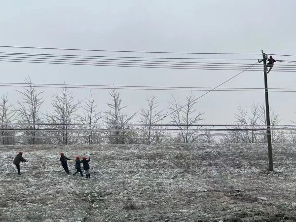 新聞動(dòng)態(tài)