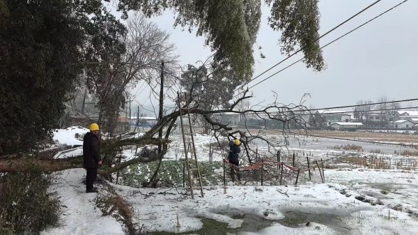 新聞動(dòng)態(tài)